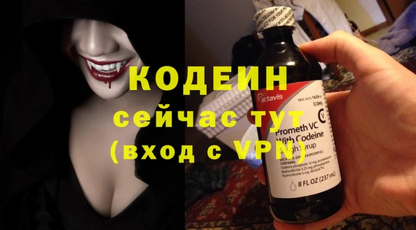 твердый Верхний Тагил