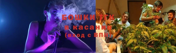твердый Верхний Тагил